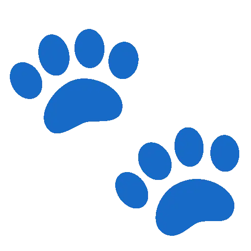 🐾