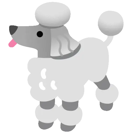 🐩